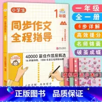 1年级全一册 [正版]小学生同步作文全程指导1一2二3三4四5五6六年级上下册通用版40000篇佳作层层甄选一步步引导孩