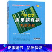 6年级数学应用题真题精选 小学通用 [正版]小学语文考试阅读数学应用题真题精选专练详解3三4四5五6六年级文言文古诗词专