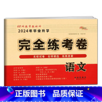 完全练考卷-语文 小学升初中 [正版]2024年小学毕业升学必做的16套试卷语文数学英语通用版小学6六年级小升初中会考课