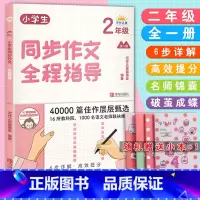 2年级全一册 [正版]小学生同步作文全程指导1一2二3三4四5五6六年级上下册通用版40000篇佳作层层甄选一步步引导孩