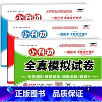 语文+数学+英语 小学升初中 [正版]2023新版升级版小升初语文数学英语全真模拟试卷小学毕业升学名校招生真卷精选六年级