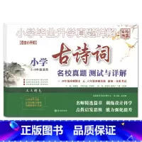古诗词 小学升初中 [正版]2023小升初小学毕业升学真题详解古诗词文言文阅读与理解积累与运用3-6三四五六年级小学升初