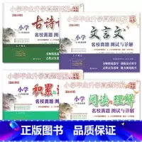 [4册]古诗词+文言文+积累+阅读 小学升初中 [正版]2023小升初小学毕业升学真题详解古诗词文言文阅读与理解积累与运