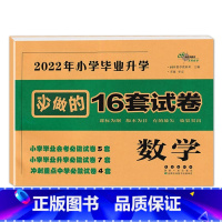 数学 [正版]2023年小学毕业升学必做的16套试卷语文数学英语小升初通用版68所6六年级总复习精选精练精解冲刺重点中学