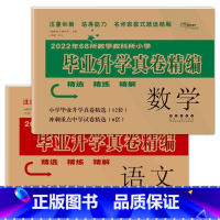 语文+数学 [正版]2023年教学教科所小学毕业升学真卷精编语文数学英语小升初试卷通用6六年级总复习精选精练精解冲刺重点