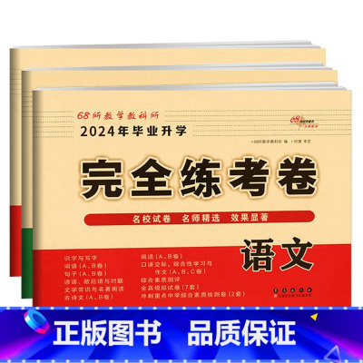 完全练考卷-语数英3本 小学升初中 [正版]2024小学升初中核心试卷 语文数学英语共3本通用版 小升初模拟试卷 小学生