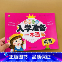 拼音 幼小衔接 [正版]小树丫新蒙氏幼儿描红天天练小学入学准备一本通语文数学拼音识字1020以内加减幼小衔接一日一练学前