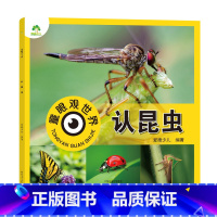 认昆虫 [正版]爱德少儿童眼观世界8册4-8岁儿童看图识物书启蒙益智早教书百科全书大百科全套恐龙百科全书认识标志功能汽车