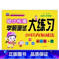 20以内加减法 [正版]幼小衔接学前测试大练习语言数学拼音10/20以内加减法专项训练一日一练重点提高同步练习入学