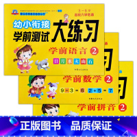 语言2+拼音2+数学2(共3本) [正版]幼小衔接学前测试大练习语言数学拼音10/20以内加减法专项训练一日一练重点提高