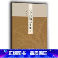 [正版]兰花白描写生集 51幅写生作品 工笔画白描花卉底稿原大呈现/零基础初学者白描技法从入门到精通教程/白描花草临摹勾