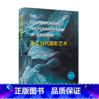 [正版]浙江当代摄影艺术 辛宏安 从浙江这个重要窗口认识和理解中国当代摄影 摄影作品分析