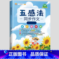 五感法写作文(全1册) 三年级上 [正版]五感法写作文三到六年级同步作文全套小学语文一年级二年级看图写话四五上册下册人教