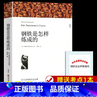 钢铁是怎样炼成的(完整版) [正版]钢铁是怎样炼成的 经典常谈朱自清 经典常谈初中原著 八年级下册必名著课外书全套完整版