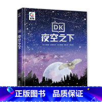 DK夜空之下 [正版]DK动物地图夜空之下全套2册 5-7岁亲子阅读幼儿动物大百科 5-10岁自主阅读儿味天文百科全书