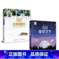 DK动物地图+DK夜空之下[全2册] [正版]DK动物地图夜空之下全套2册 5-7岁亲子阅读幼儿动物大百科 5-10岁自