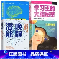 [正版]4册三脑教练+唤醒潜能 自我进化的26堂课+强大脑之脑力激荡术 神奇的脑力激荡术+学的大脑秘密 书籍