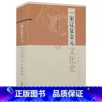 [正版]宋辽夏金元文化史断代文化史系列叶坦蒋松岩宋代北宋南宋士大夫政治文化历史述论朱熹的世界研究书籍