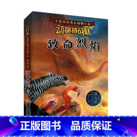 致命烈焰 [正版] 沈石溪动物特战队全套集21册中国原创奇幻动物小说6-7-10-12-15岁儿童文学 三四五六年级小学