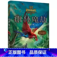 雨林魔劫 [正版] 沈石溪动物特战队全套集21册中国原创奇幻动物小说6-7-10-12-15岁儿童文学 三四五六年级小学