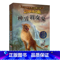 神勇调皮鬼 [正版] 沈石溪动物特战队全套集21册中国原创奇幻动物小说6-7-10-12-15岁儿童文学 三四五六年级小