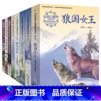 沈石溪动物小说-狼国女王 [正版]沈石溪动物小说全集感悟生命书系 全套8册狼国女王五彩龙鸟雪域豹影红豺7-12-15岁儿