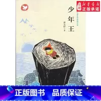 少年王 [正版] 明朝那些事儿增补版全套9册 全集当年明月作品磨铁插图版 中国古代通史记读物 军事小说书籍万历 五年二