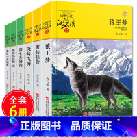 [正版]狼王梦沈石溪动物小说全集套共6册的书籍全系列 第七条猎狗zui后一头战象9-10-12-15岁 文学小学生三四五