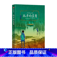 第二辑 孤单的蓝鹭 [正版]7-12岁我爱读国际大奖小说系列 全9册 辑 国际大奖小说儿童文学获奖 少年冒险童话故事书