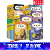 [正版]沈石溪中外动物小说精品书系升级版全套56册沈石溪的书全集全套 三四五六年级儿童书狼兄狼弟9-12-15岁儿童