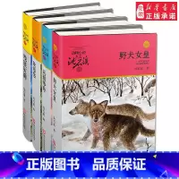[正版]沈石溪动物小说珍藏版全四册动物小说大王沈石溪系列 残狼灰满 野犬女皇 象母怨 兵猴传奇4册 儿童读物10岁15岁