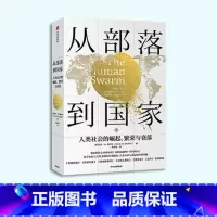 [正版] 从部落到 :人类社会的崛起、繁荣与衰落 马克W莫菲特 著 福布斯 人类文明 社会发展 世界通史 出版