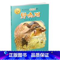 [正版]曹文 轩萌萌鸟系列 野鸭湖 儿童文学 6-12岁少年儿童绘本图书 小学生课外阅读书籍读物儿童文学书籍 中国少年儿