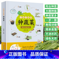 [正版]手把手教你种蔬菜 图说蔬菜栽培技术 蔬菜栽培种植技术大全书籍 种菜栽培实用手册 蔬菜种植技术室内室外的私家菜园