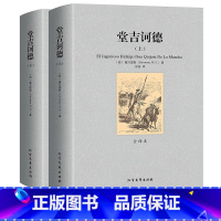 唐吉诃德世界名著外国小说现当代文学 [正版]全译本800页堂吉诃德上下册 塞万提斯著人民文学出版社完整版唐吉诃德世界名著