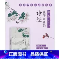 燕燕于飞-美得窒息的诗经 [正版]3册 许渊冲:美得让人窒息的唐诗宋词诗经 许渊冲经典英译(六神磊磊)文学散文随笔诗歌诗