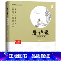 唐诗说 [正版]大字护眼版蔡志忠漫画全集 唐诗说+宋词说 国学经典少儿国学系列 蔡志忠给孩子的国学经典漫画大字书籍