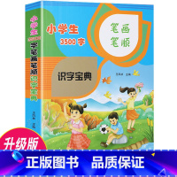 小学生3500字笔画笔顺识字宝典 小学通用 [正版]3册小学生3500字笔画笔顺识字宝典小学生语文数学知识宝典大全1-6