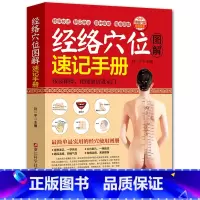 [正版]经络穴位图解速记手册(赠挂图) 人体经络穴位图解书 中医穴位按摩书 经络穴位按摩大全家用养生书籍 穴位书籍