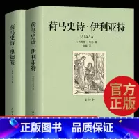 [正版]全译本全本荷马史诗:伊利亚特和奥德赛 原版 书籍社科书全套外国经典文学名著非人民文学北方文艺出版社