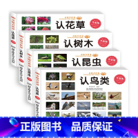 [4本]鸟类+昆虫+树木+花草 [正版]童眼看世界 认名车认汽车+认标志+认 儿童绘本0-3-6岁婴幼儿童宝宝启蒙亲