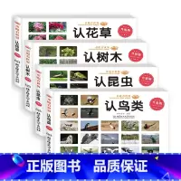 [4本]鸟类+昆虫+树木+花草 [正版]童眼看世界 认名车认汽车+认标志+认 儿童绘本0-3-6岁婴幼儿童宝宝启蒙亲