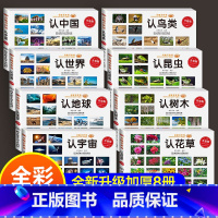 [8本]中国+鸟类 [正版]童眼看世界 认名车认汽车+认标志+认 儿童绘本0-3-6岁婴幼儿童宝宝启蒙亲子读物汽车车