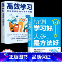 [正版]2册 高效学习+所谓学习好大多是方法好 学习高手的10个习惯学习法书籍 儿童小学初中高中语文高校学习法全集手册樊