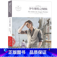 少年维特之烦恼 [正版] 少年维特之烦恼 歌德 全译本全本中文版 少年维特的烦恼 原版原著世界文学名著 小学生青少年课外