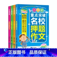 [正版]2019新版 小升初重点突破名校作文共4册 3-6年级小升初作文书 名校满分押题优 秀 小学三四五六年级作文大全