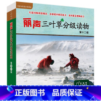 [正版]丽声三叶草分级读物第十二级(16册)