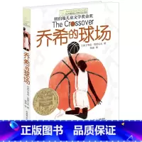 [正版]长青藤小说书系:乔希的球场