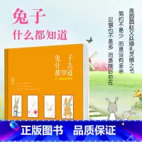[正版]兔子什么都知道,叫一声我的名字好吗?高圆圆和赵又廷的定情之作 超Q萌软软甜甜的成人童话绘本 和情人一块看的爱情寓