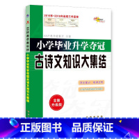 [正版]小学毕业升学夺冠古诗文知识大集结(全新升级版)